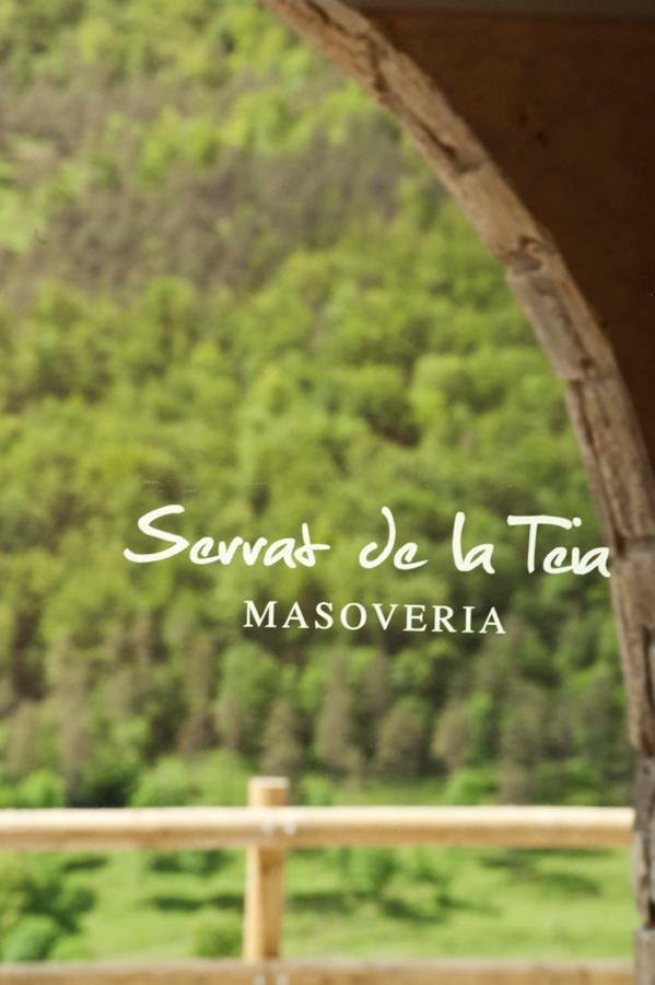 Mas Serrat De La Teia Сан-Джоан-де-лес-Абадесес Екстер'єр фото